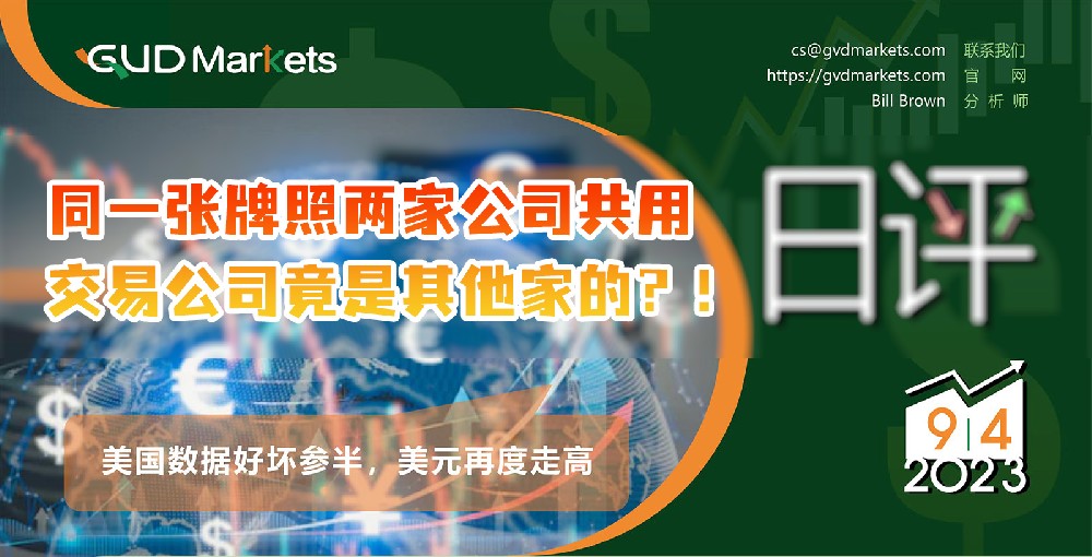 券商GVDMarkets，同一张牌照两家公司共用，交易公司竟是其他家的？！