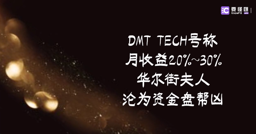 DMT TECH号称月收益20%~30%，华尔街夫人沦为资金盘帮凶！