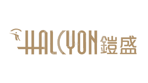 HalcyonCapital·铠盛资本再次暴雷自研交易软件，为存在安全隐患严重的公司做保荐人！！