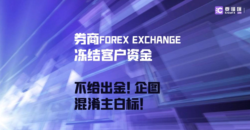 券商FOREX EXCHANGE冻结客户资金，不给出金！企图混淆主白标！