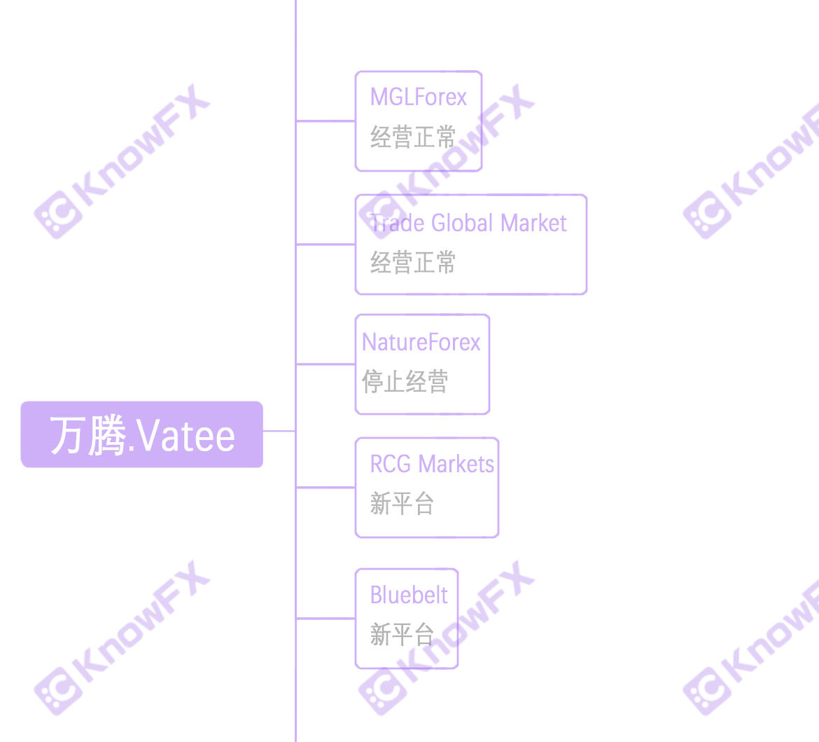 The regulatory card of the securities firm Vatee is fake, fraudulent investors!-第20张图片-要懂汇圈网