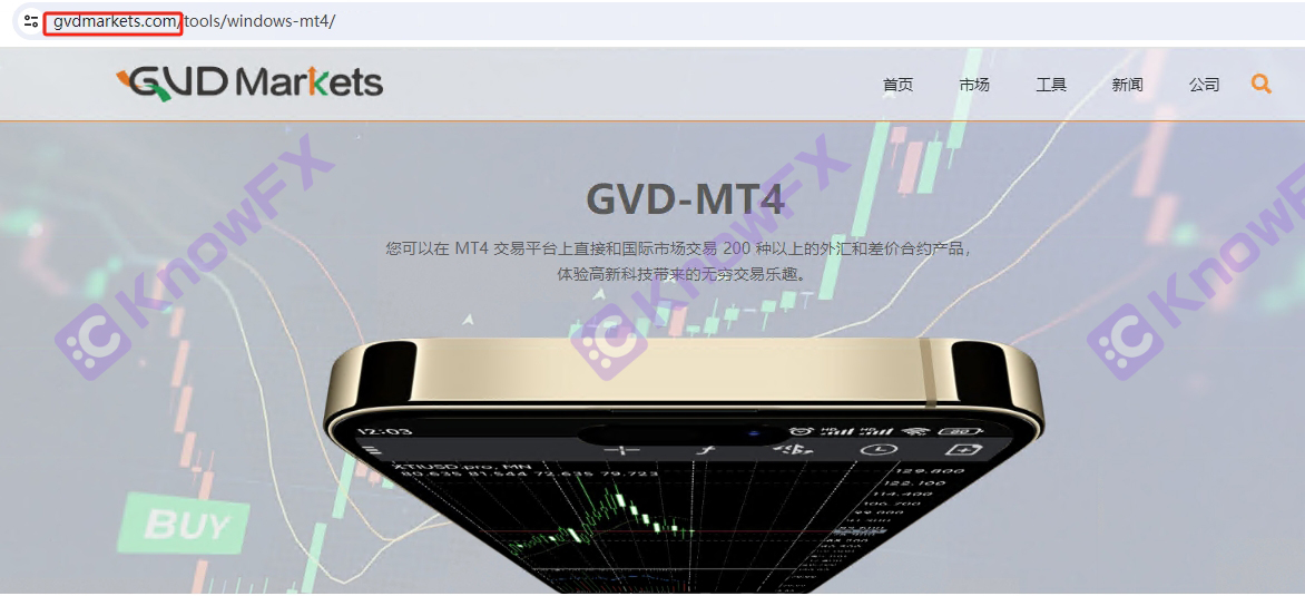 AM Markets stops the exhibition industry and has the GVD Markets platform. It holds a gold -gift event for the Chinese people, and it will be an abacus!Intersection-第8张图片-要懂汇圈网