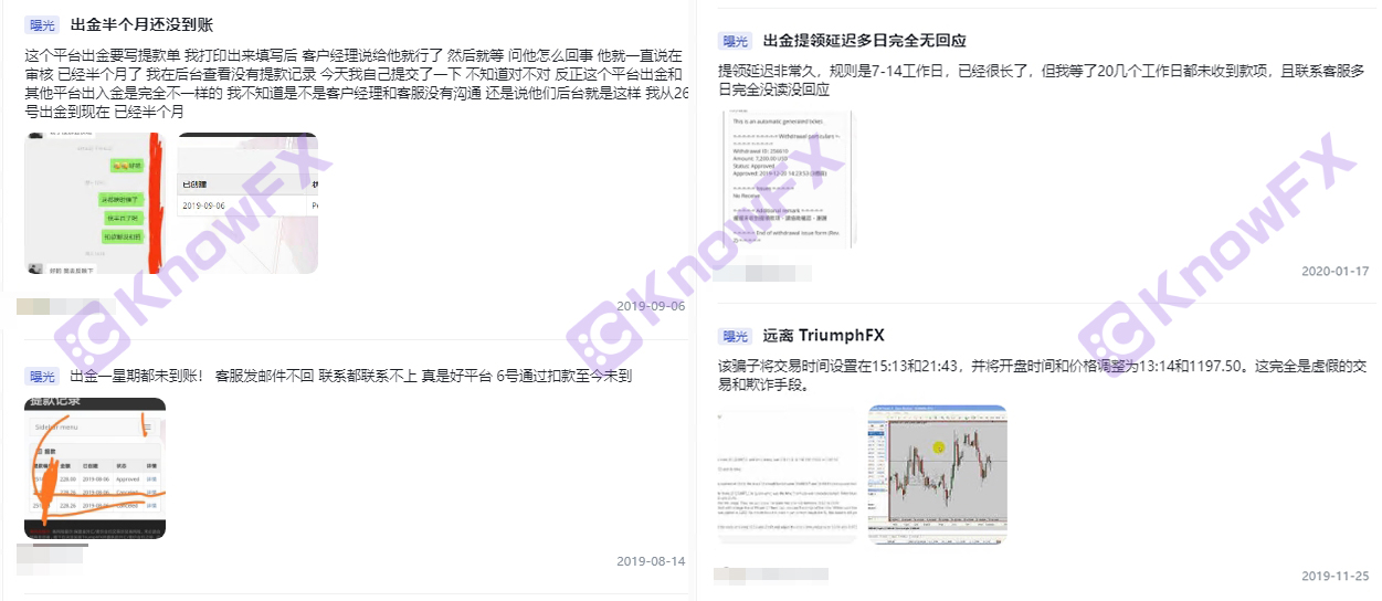 Triumphfx dehui प्लेटफॉर्म मून ली का प्रलोभन, एक जाल की स्थापना!-第2张图片-要懂汇圈网