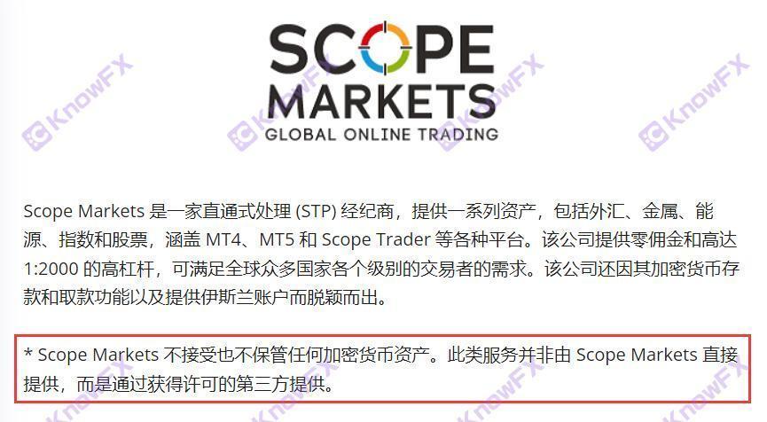 O ScopeMarkets usa o "Serviço de Terceira Parte" para transferir responsabilidades legais para atrair 75%da taxa de plataforma plana preta vencedora para cortar o alho -poró!-第8张图片-要懂汇圈网