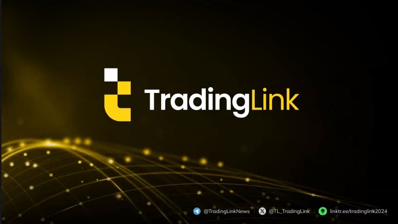 【採訪】精英交易之路，KnowFX泰國曼谷專訪TradingLink，解鎖交易優勢新篇章！-第16张图片-要懂汇圈网