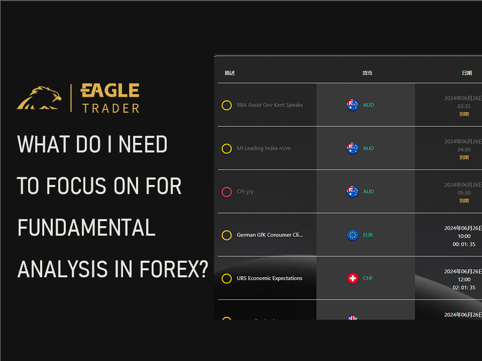 ​外汇的基本面分析需要关注什么？